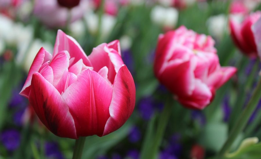 reset your metabolism naturally