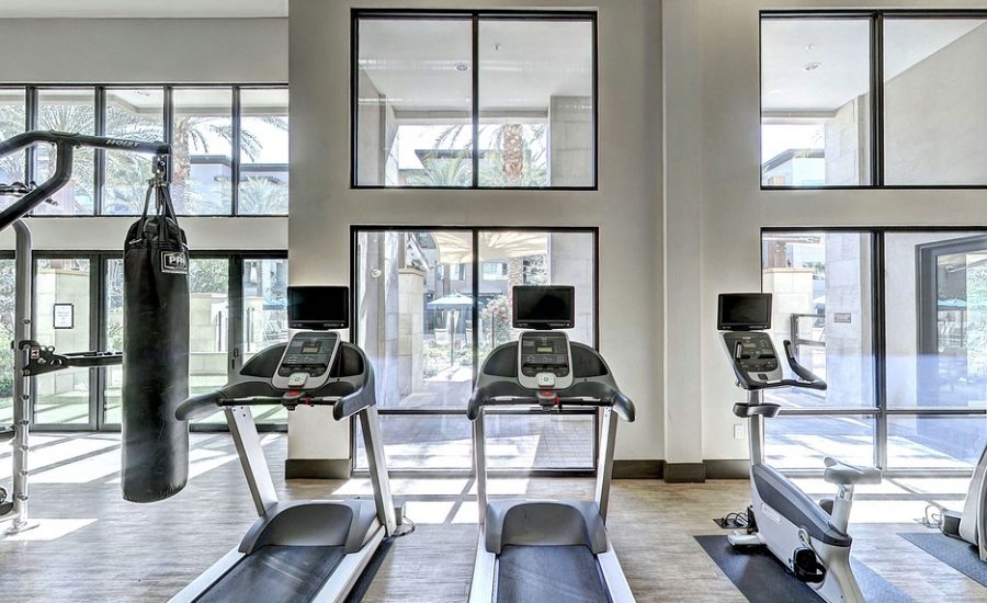 beginner cardio workouts for weight loss