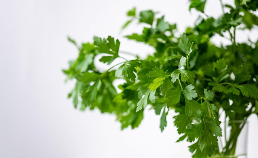 diabetic meals using low GI foods