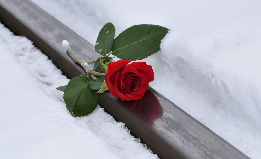 tools to track weight loss progress