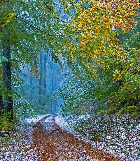 how to balance glycemic load in meals