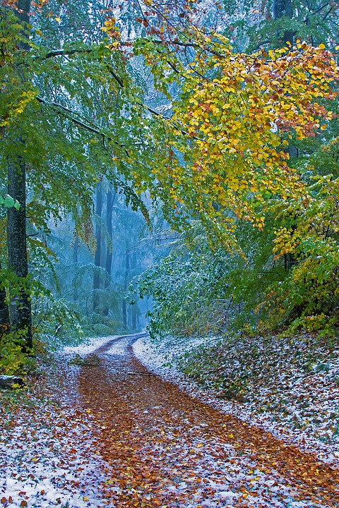 Understanding Glycemic Load: Meal Ideas for Diabetics and Health Enthusiasts